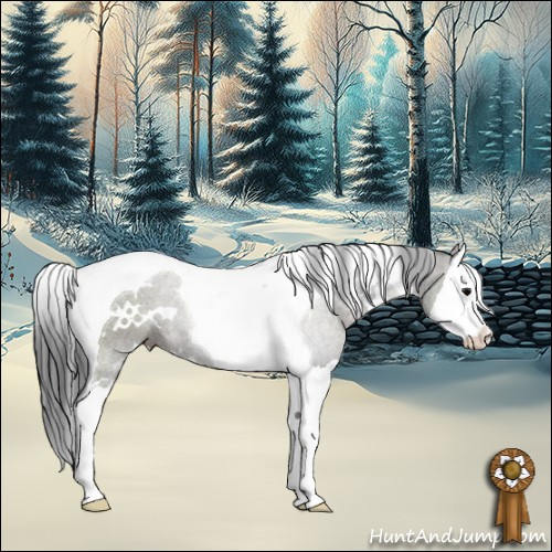 Horse Color:White Spotted Grullo Splash Tobiano 