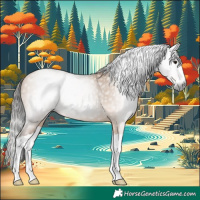 Horse Color:Gray Bay Dun Splash