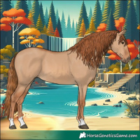 Horse Color:Red Dun 
