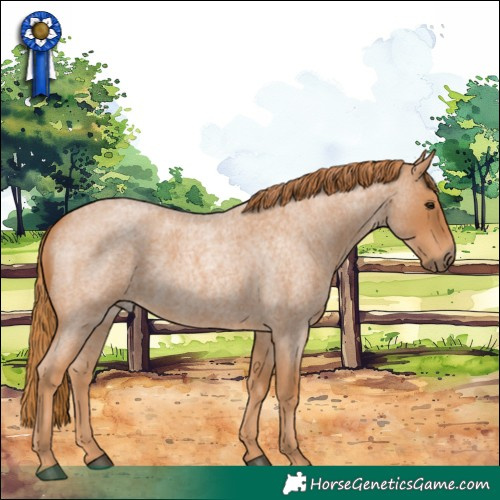 Horse Color:Red Roan 