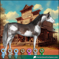 Horse Color:Brown Sabino Splash