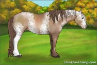 Horse Color:White Spotted Black Pearl 