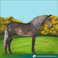 Horse Color:Silver Smoky Black 