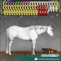 Horse Color:Brown Sabino Splash 