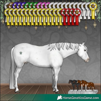 Horse Color:Brown Sabino Splash