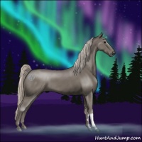 Horse Color:Silver Black 