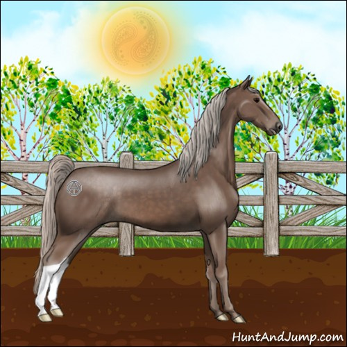 Horse Color:Silver Black
