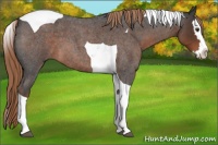 Horse Color:Liver Red Roan Splash Tobiano 