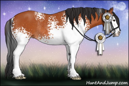 Horse Color:White Spotted Brown Rabicano