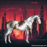 Horse Color:White Spotted Brown Splash 