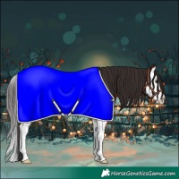 Horse Color:Bay Splash 