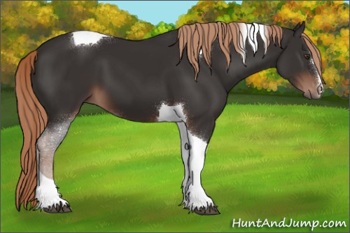 Horse Color:Liver Chestnut Tobiano 