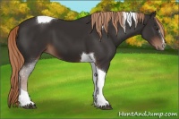 Horse Color:Liver Chestnut Tobiano 