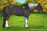 Horse Color:Liver Red Roan Tobiano 