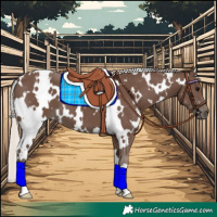 Horse Color:White Spotted Silver Black