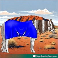 Horse Color:White Spotted Amber Champagne Splash