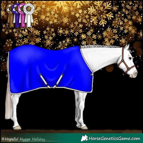 Horse Color:White Spotted Bay Splash Appaloosa 