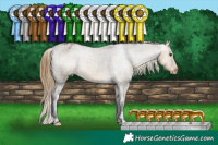 Horse Color:Buckskin Dun Varnish 