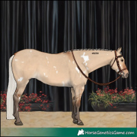 Horse Color:White Spotted Silver Bay Dun