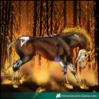 Horse Color:Brown Tobiano 