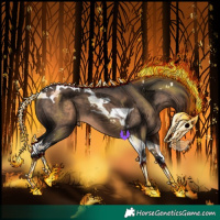 Horse Color:Brown Dun Tobiano 