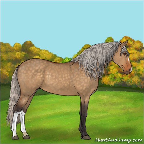 Horse Color:Silver Buckskin Dun