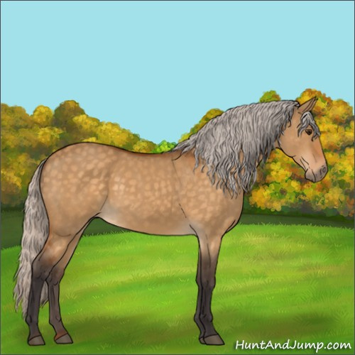 Horse Color:Silver Buckskin Dun