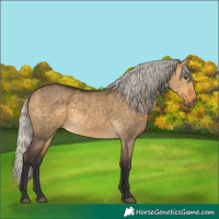 Horse Color:Silver Buckskin Dun