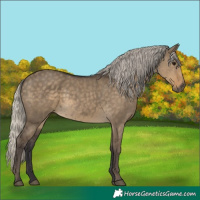 Horse Color:Silver Smoky Grullo 
