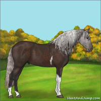 Horse Color:Silver Brown Tobiano 