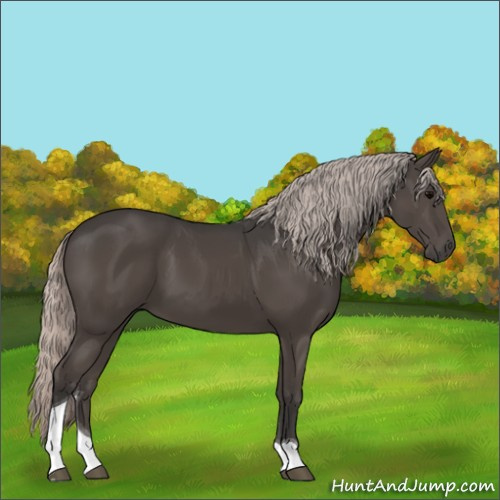 Horse Color:Silver Black Tobiano