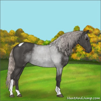 Horse Color:Silver Black Tobiano 