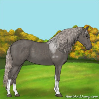 Horse Color:Silver Black Tobiano