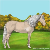 Horse Color:Silver Smoky Creme Tobiano 