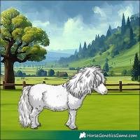 Horse Color:Silver Buckskin Dun Splash Tobiano Varnish