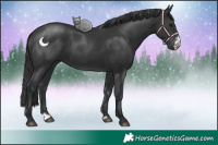 Horse Color:Black Sabino 