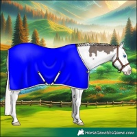 Horse Color:White Spotted Silver Black Splash 