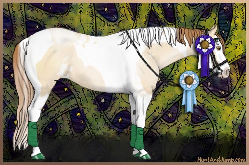 Horse Color:Bay Pearl Dun Sabino Splash Tobiano Rabicano 