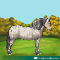 Horse Color:Brown Dun Tobiano Appaloosa Rabicano 