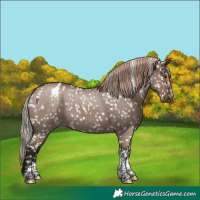 Horse Color:Liver Red Dun Roan Tobiano Appaloosa Rabicano 