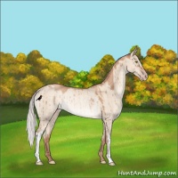 Horse Color:Silver Sable Champagne Dun Rabicano Brindle 