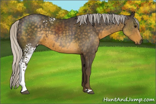 Horse Color:White Spotted Silver Smoky Black