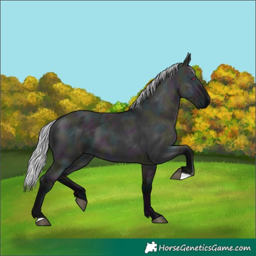 Horse Color:Midnight Silver Smoky Grullo Chinchilla 