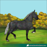 Horse Color:Midnight Silver Smoky Grullo Chinchilla 