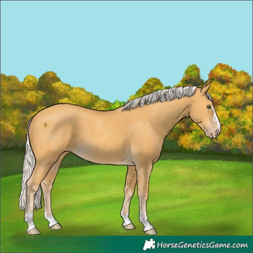 Horse Color:Chocolate Silver Sable Cream Champagne 