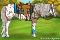 Horse Color:Silver Brown Dun Sabino Splash Appaloosa 