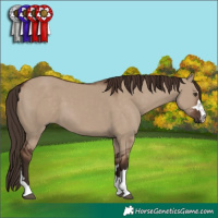 Horse Color:Liver Red Dun 