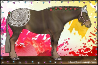 Horse Color:Liver Chestnut Rabicano