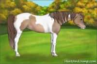 Horse Color:Black Pearl Tobiano 