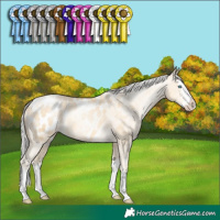 Horse Color:Silver Sable Cream Champagne Pearl Sabino Splash Appaloosa Rabicano 